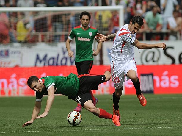 档林秋仙显 档林秋仙显