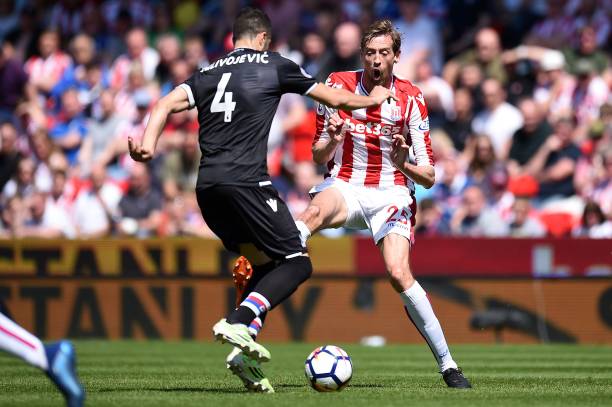 跟伊布一样 跟伊布一样