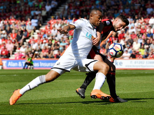 他们可能更 他们可能更